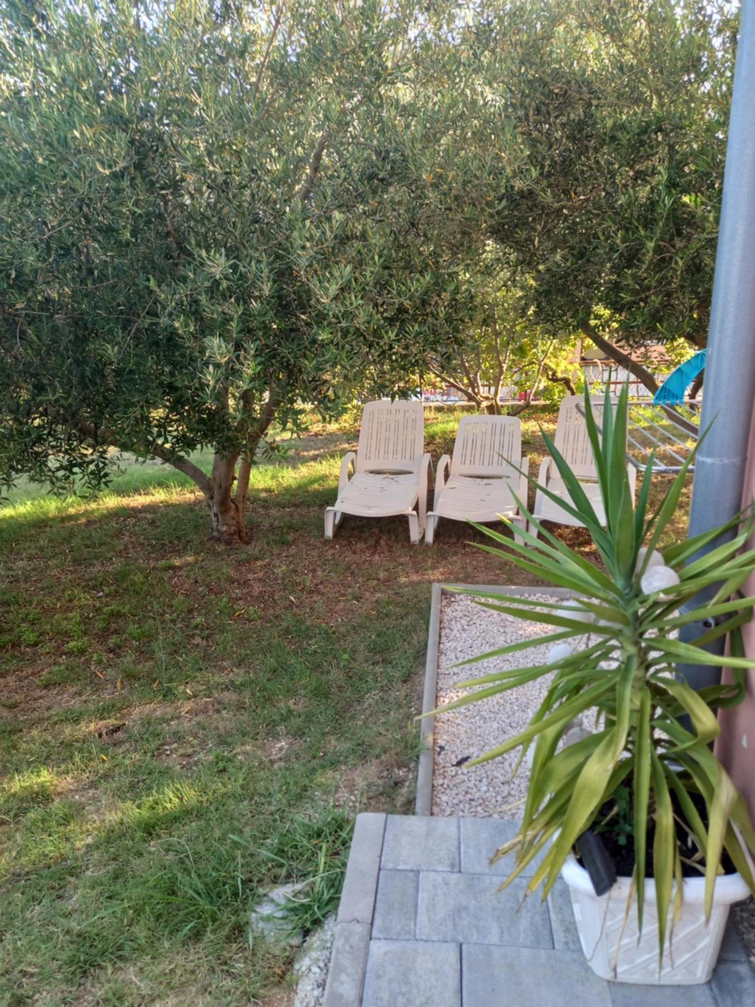 Appartamento Dani Zara Camera foto